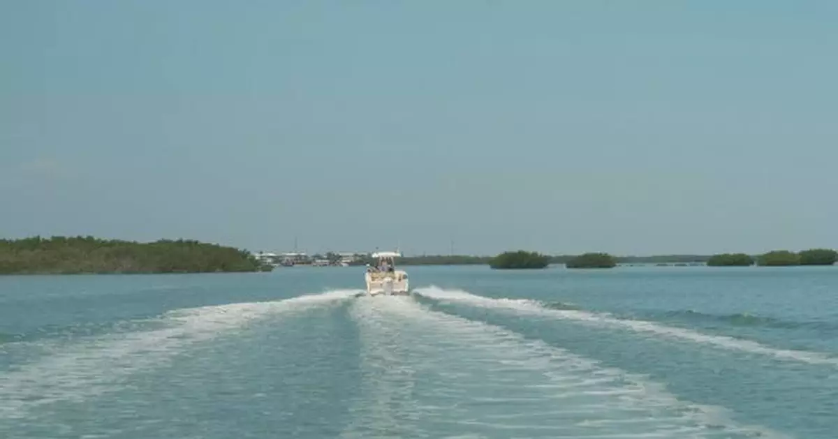 Florida's motor boating industry struggles to stay afloat amid soaring fuel prices