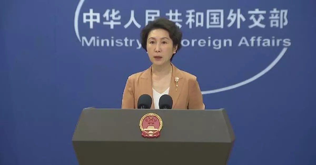 Japan-Philippines' so-called maritime boundary delimitation talks illegal: spokeswoman