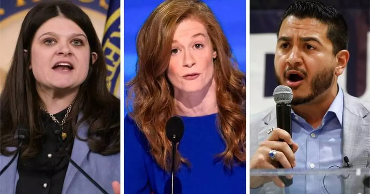 Michigan Democrats get a chance to make their case for the Senate and their party’s future