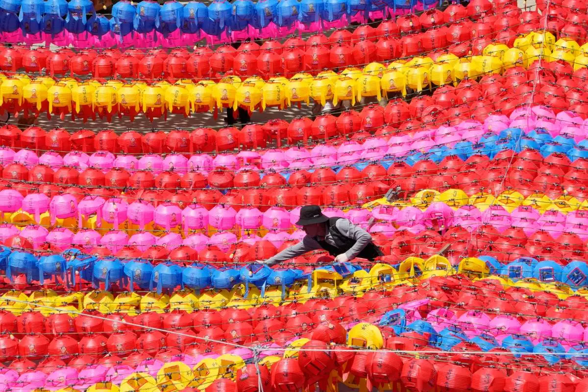 A work adjusts lanterns for upcoming celebration of Buddha's birthday on May 24 at Jogye temple in Seoul, South Korea, Friday, April 24, 2026. (AP Photo/Ahn Young-joon)
