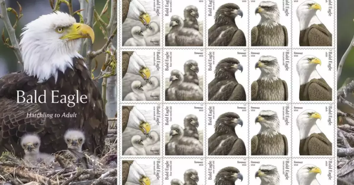 Postal Service releases special edition bald eagle stamps for America's 250th