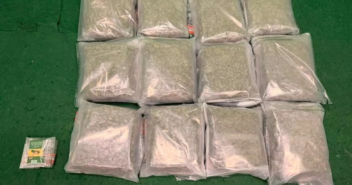 Hong Kong Customs Seizes 12kg of Cannabis and Arrests Two Passengers at Airport