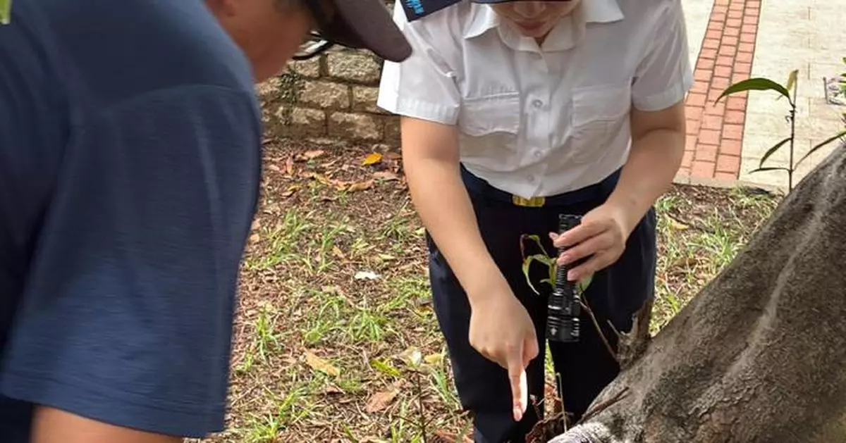 FEHD Releases May Gravidtrap Indexes for Aedes Albopictus, Highlights Areas of Concern and Control Measures.