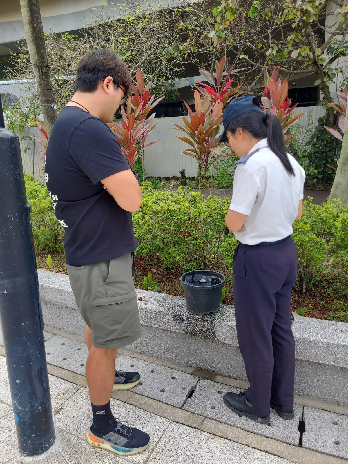 FEHD releases fourth batch of gravidtrap indexes for Aedes albopictus in May Source: HKSAR Government Press Releases