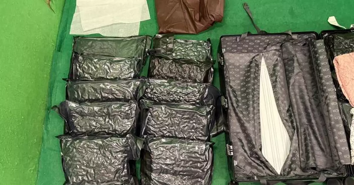 Hong Kong Customs Seizes 29kg of Drugs, Arrests Two Passengers at Airport