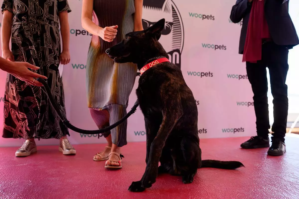 Apocalypse poses with the Palm Dog jury after accepting the palm dog award on behalf of Yuri, who could not attend, during the Palm Dog award ceremony at the 79th international film festival, Cannes, southern France, Friday, May 22, 2026. (AP Photo/Andreea Alexandru)