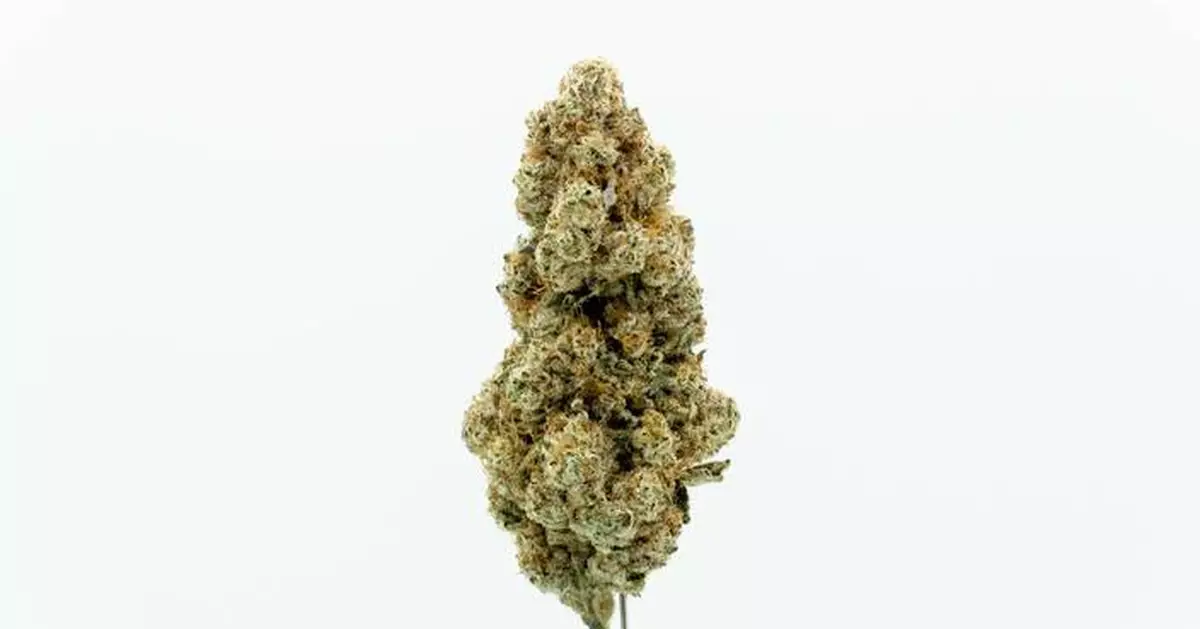 Canopy Growth Relaunches Tweed Brand in Germany with New MTL Cannabis Strain Lineup, Marking First International Release following Acquisition