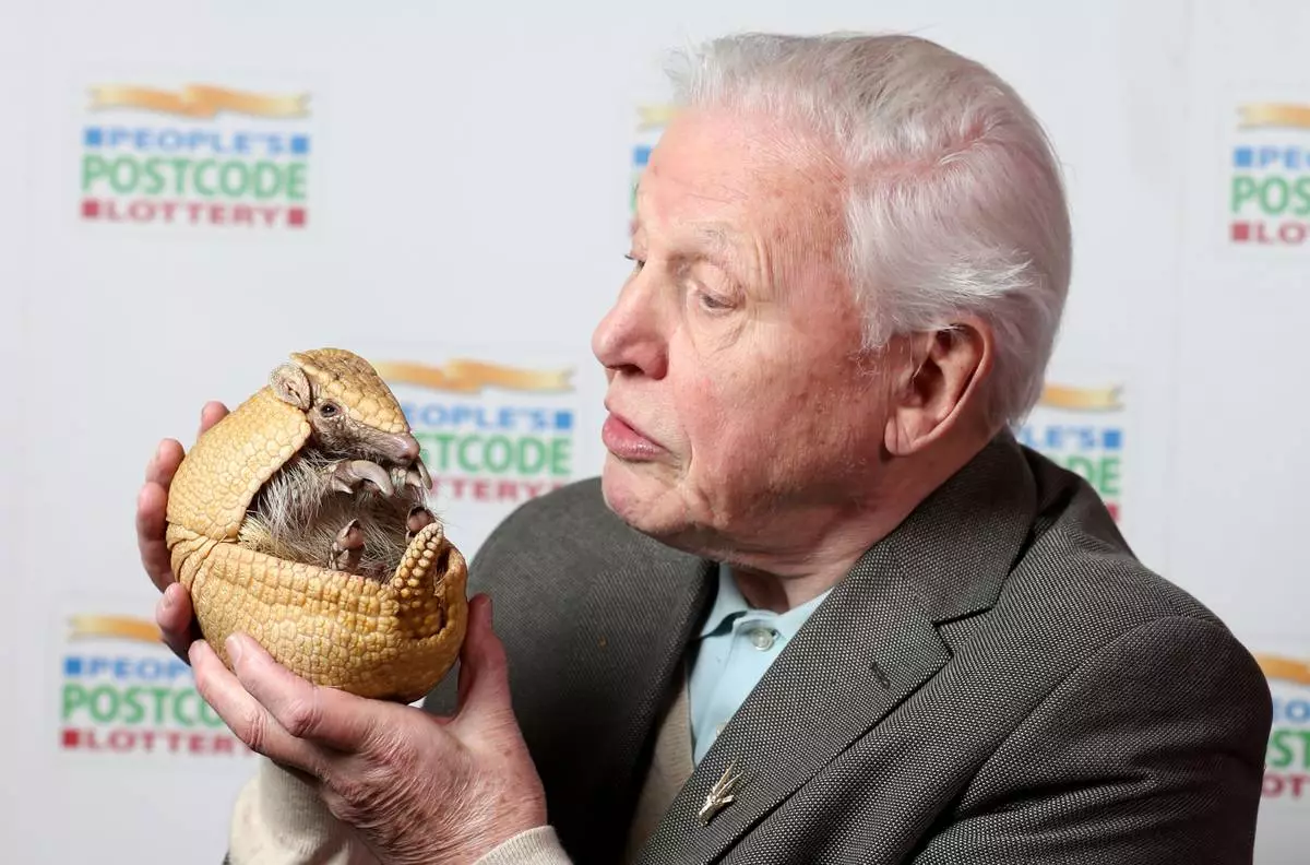 FILE - David Attenborough holds 'Inti', an armadillo from Edinburgh Zoo, before receiving a cheque from the People's Postcode Lottery for the charity Fauna and Flora International of which he is Vice-President, at Prestonfield House, Edinburgh, Jan. 24, 2017. (Jane Barlow/PA via AP, File)