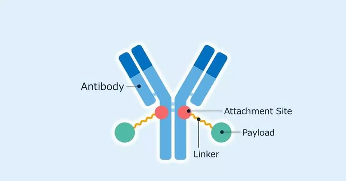 Asahi Kasei Life Science Acquires License for Novel Antibody-Drug Conjugate Technology from The Noguchi Institute – A Major Milestone for More Efficient and Safer Cancer Treatments
