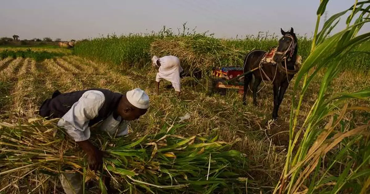 Sudan was already at war and hungry. Now its farmers are hit by another conflict