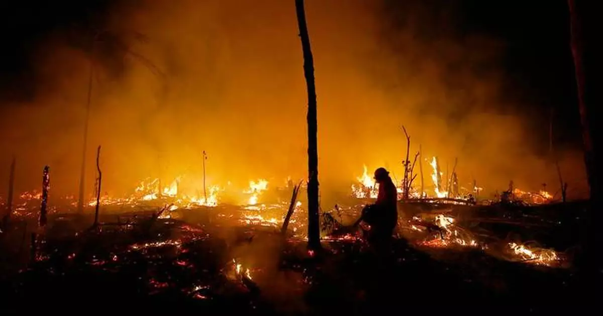 Despite gains combating deforestation in Brazil's Amazon, forest degradation is a looming threat