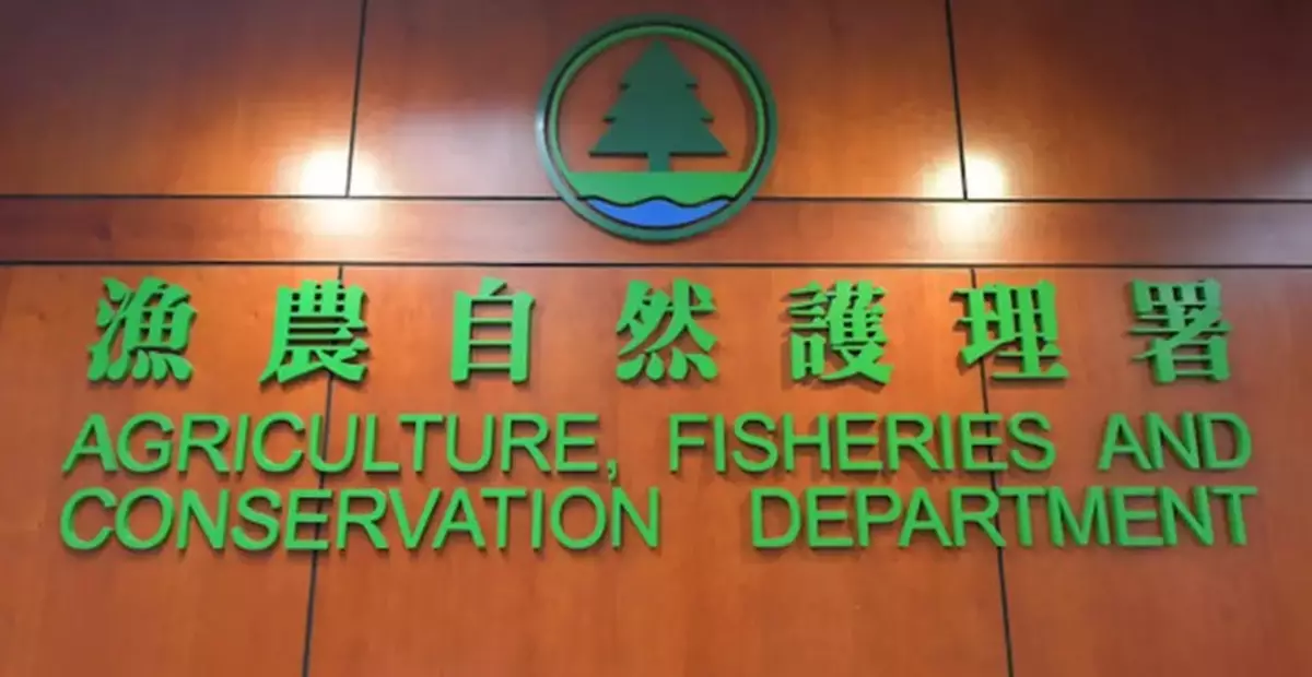 AFCD Investigates Suspected Animal Cruelty at Dog Shelter in Kam Sheung Road