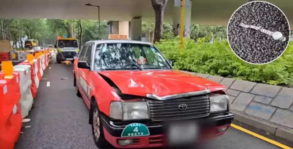 Fatal Traffic Accident in Lantau North: 87-year-old man Dead, Taxi Driver Arrested for Investigation
