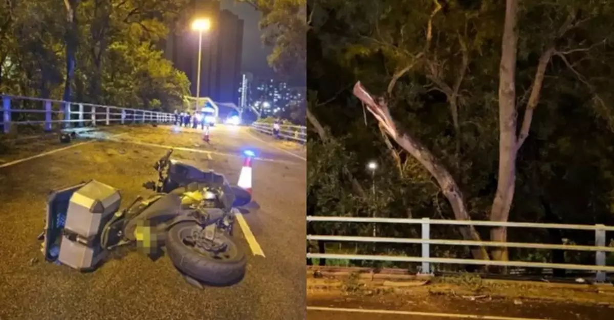 Motorcyclist Dies in Tai Po Crash After Hitting Fallen Tree, Investigation Under Way
