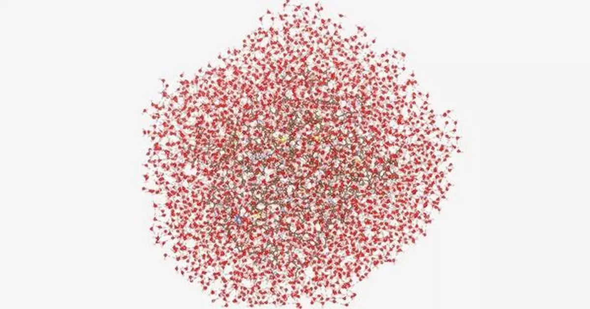 Cleveland Clinic, RIKEN, and IBM Model a 12,635-Atom Protein - the Largest Known to Be Simulated with Quantum Computers