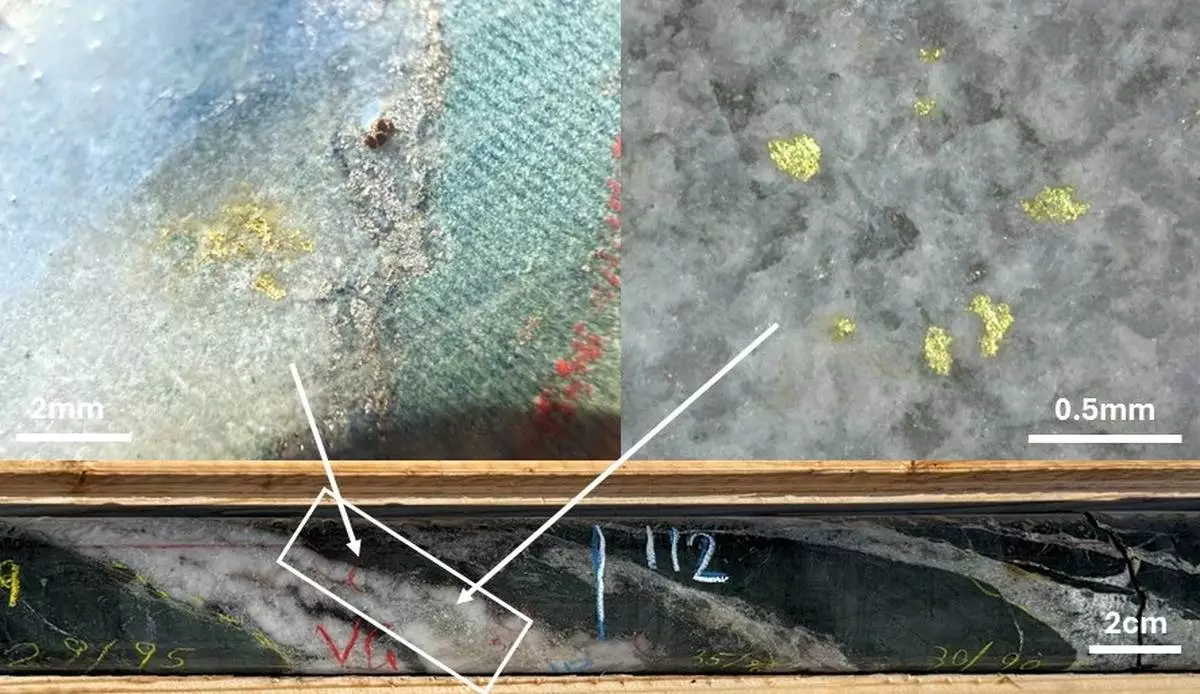 Figure 2: Visible gold in SGPDH26-04 at 112m down hole. Closeups of typical clusters from within the white box are shown