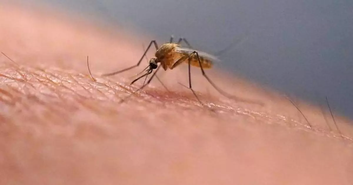 Scratching that bug bite might feel good at first but science explains why it's a bad idea