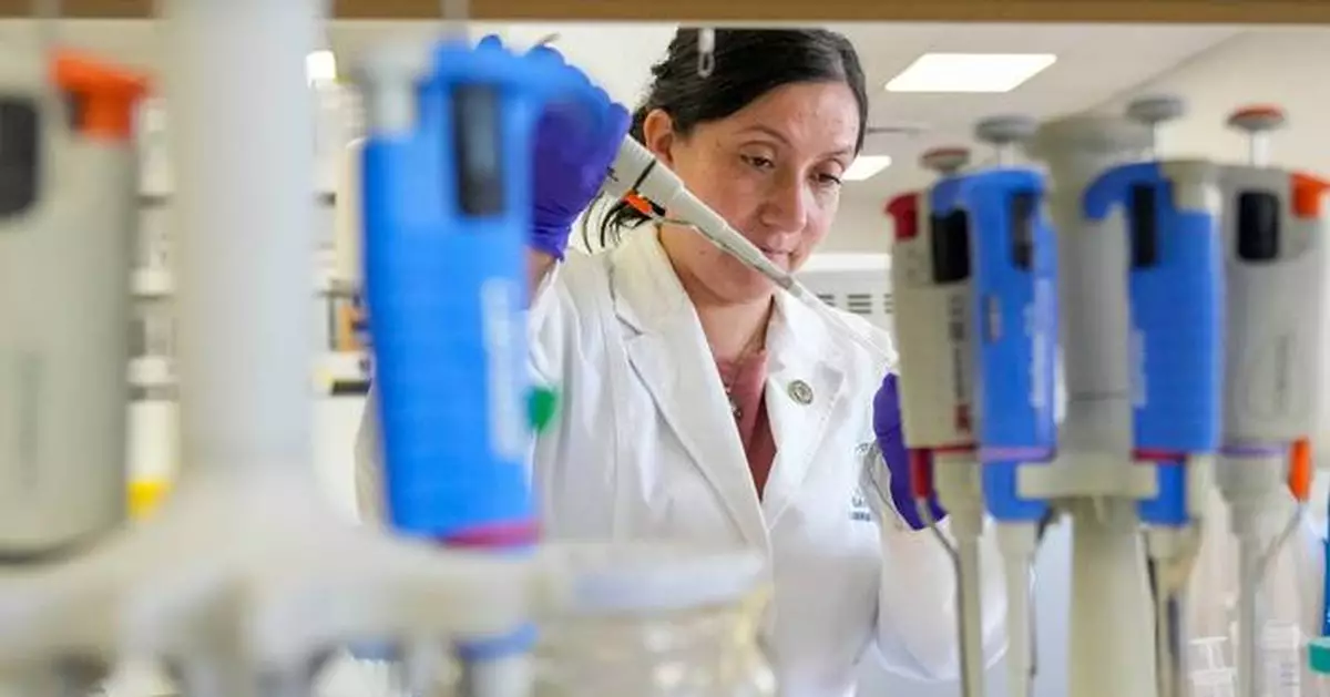 Tools to fight hantavirus show promise despite limited funding. Now researchers hope to continue