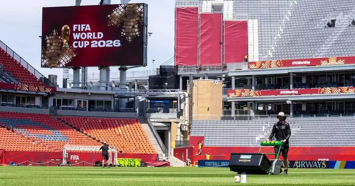 The World Cup pitches are the result of years of engineering to find just the right grass
