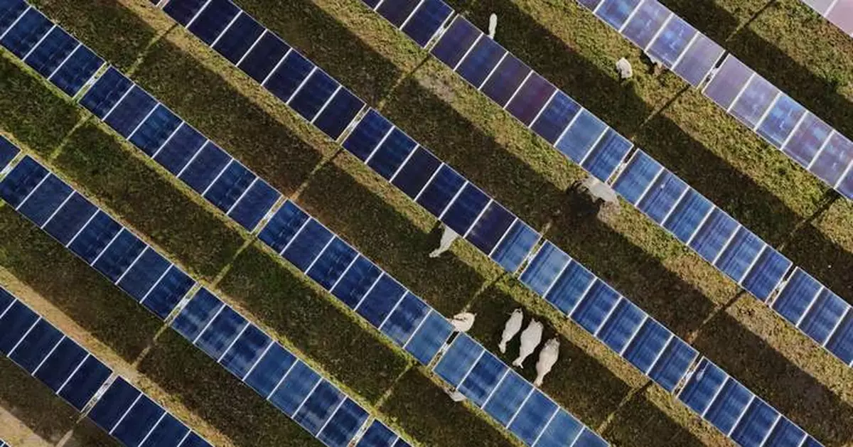 Solar power hits new milestones in the US even as Trump boosts coal over clean energy