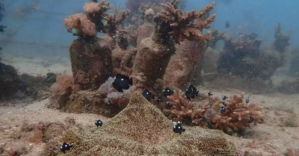 African and Commonwealth nations in Kenya urge quick execution of a key treaty protecting oceans
