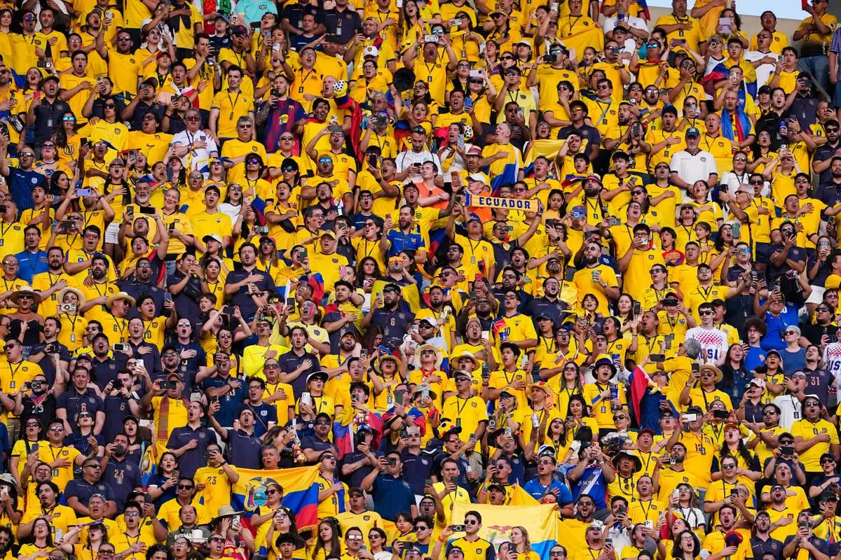 Fans react during the World Cup Group E soccer match between Ivory Coast and Ecuador in Philadelphia, Sunday, June 14, 2026. (AP Photo/Petr David Josek)