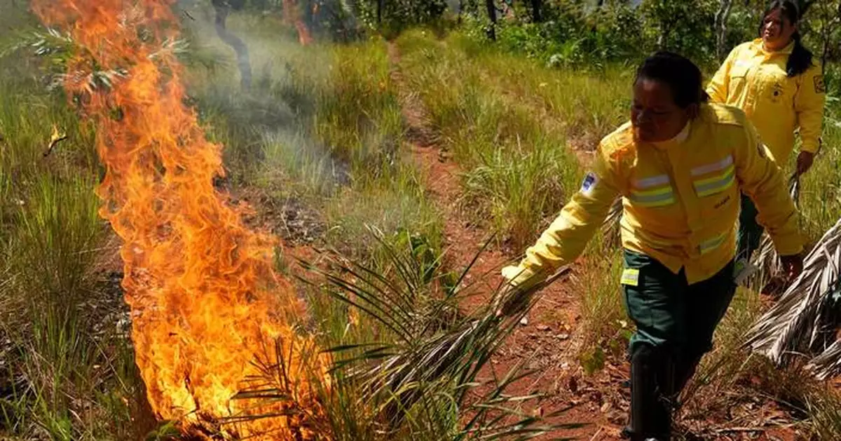 In Brazil’s Cerrado region, Indigenous fire practices reshape wildfire strategy