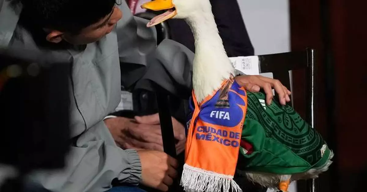 Merlín the duck takes a trip to the stadium, but FIFA rules keep him out of Mexico match