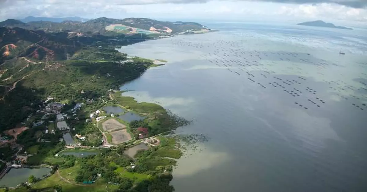 Government Launches Public Engagement for Coastal Protection Park Feasibility Study in Tsim Bei Tsui Area
