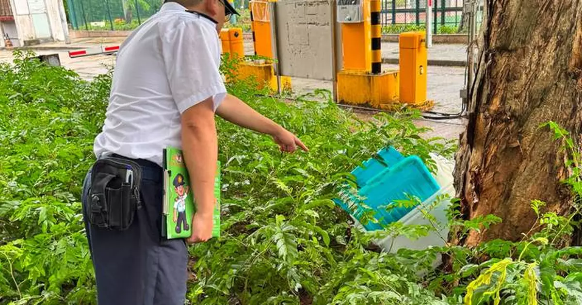 FEHD Releases June Gravidtrap and Density Indexes for Aedes albopictus Across 19 Survey Areas
