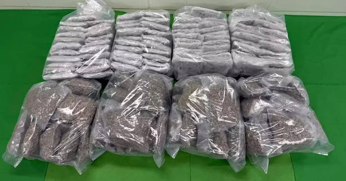 Hong Kong Customs Seizes About 81 Kilograms of Suspected Cannabis Buds Valued at About $14.5 Million