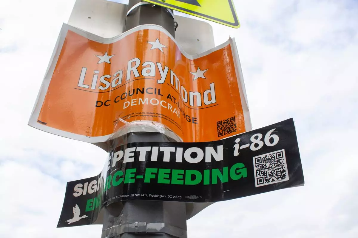 Campaign signs are posted on lamp post, Sunday, June 7, 2026, in Washington, ahead of the city’s primary election. (AP Photo/Tallulah Brown Van Zee)