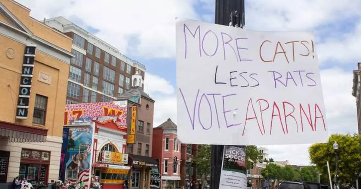 AP Decision Notes: What to expect in the Washington, DC, primary