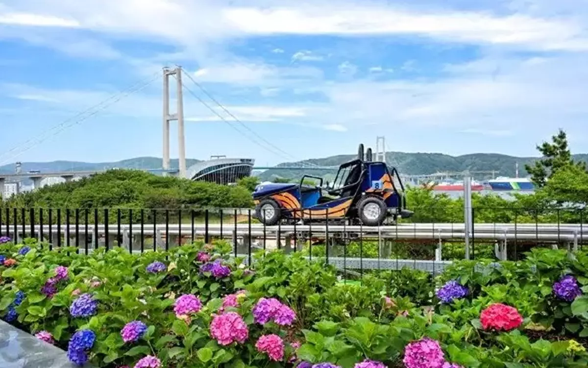 Ride Through a Sea of 900,000 Hydrangeas: Ulsan Namgu's 5th Jangsaengpo Hydrangea Festival Unveils the New Whale Kart
