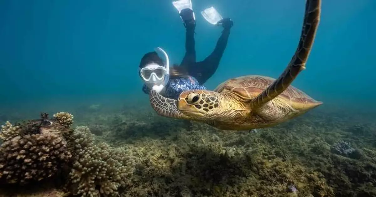 Fitzroy Island Resort Australia Achieves 50% Night Audit Efficiency Gain With Agilysys Hospitality Ecosystem