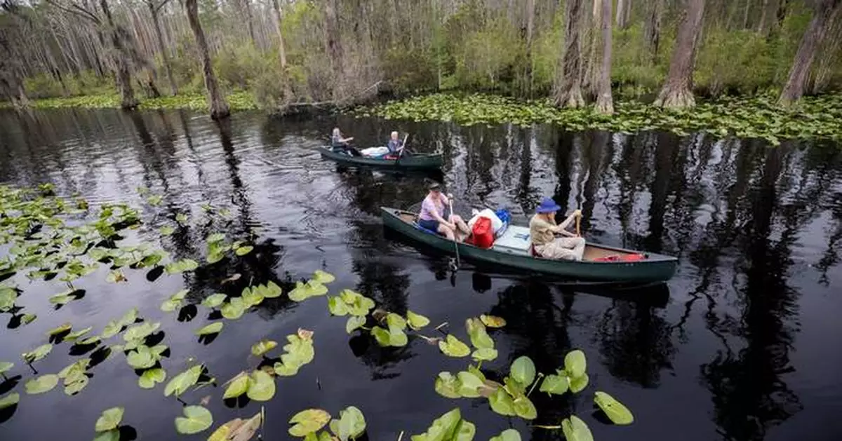 Georgia's Okefenokee Swamp among new additions to join UNESCO's World Heritage List
