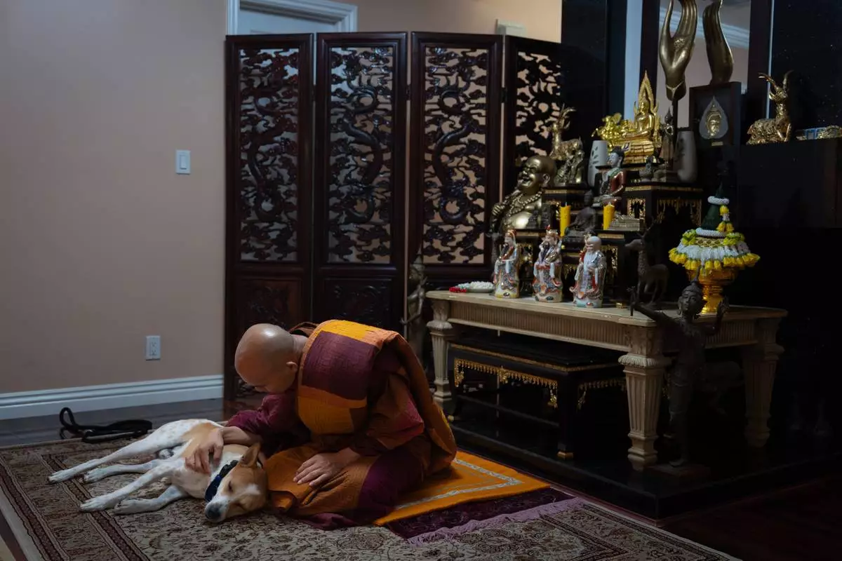 Bhikkhu Pannakara, a Buddhist monk who led a Walk for Peace from Fort Worth, Texas, to Washington, D.C., pets his dog, Aloka, while waiting for an event to start in the North Hollywood section of Los Angeles, Monday, July 13, 2026. (AP Photo/Jae C. Hong)