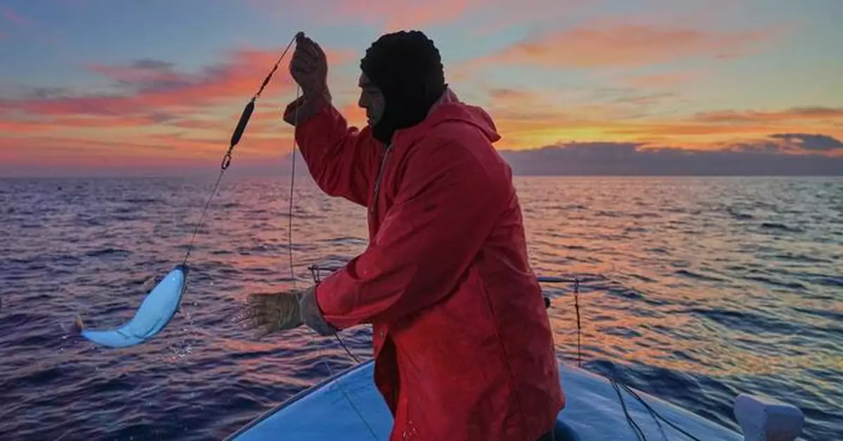 The Mediterranean's warming waters are drawing hundreds of invasive species