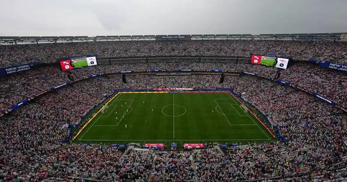 FIFA selling the field to be used for the World Cup final in $450 pieces
