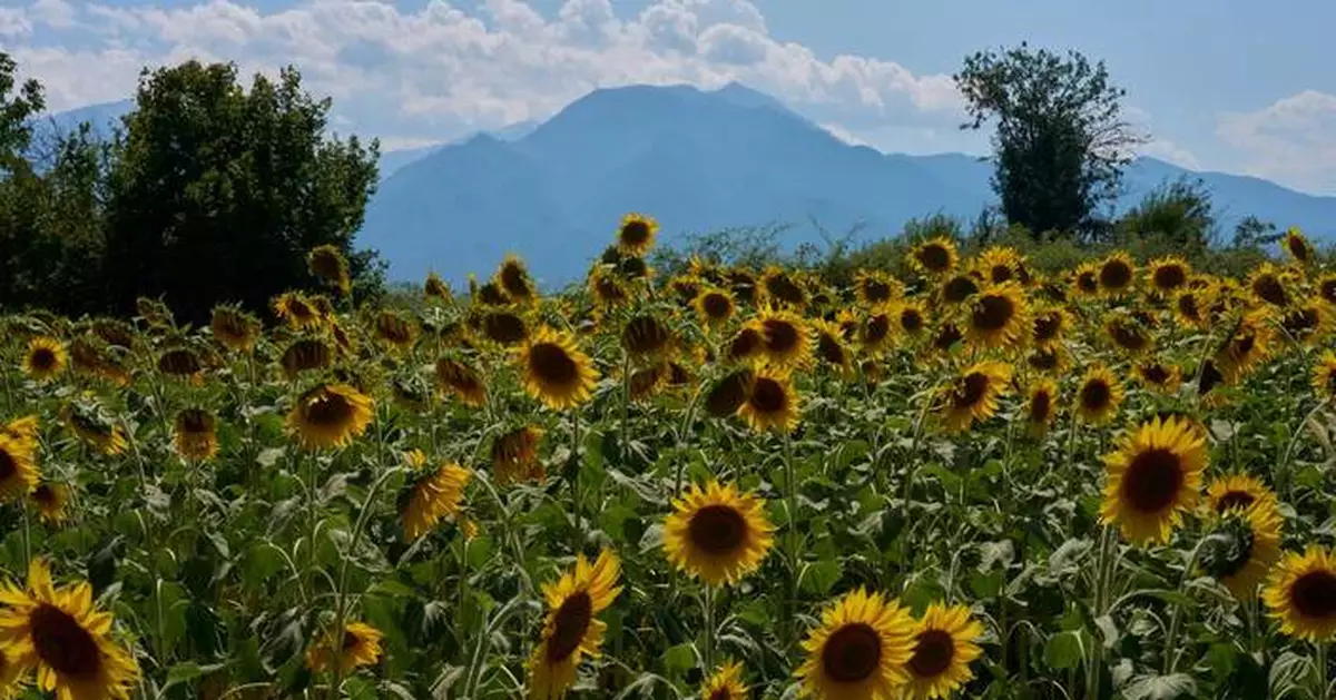 Mount Olympus, home of the ancient Greek gods, is a candidate for the UNESCO World Heritage List