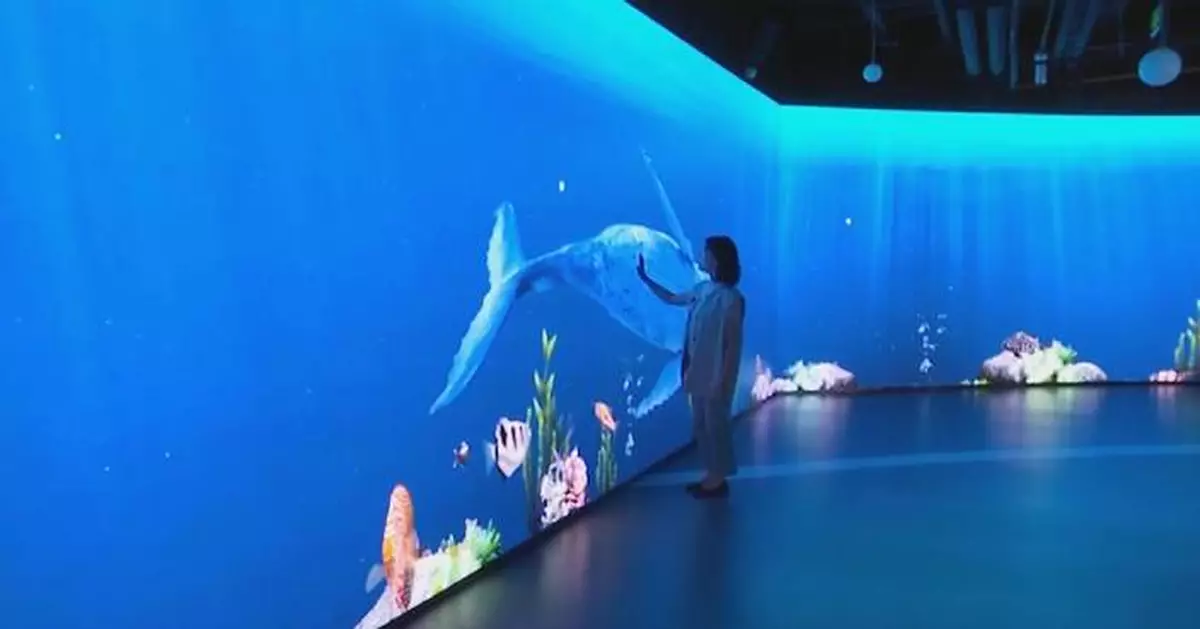 Chinese LED screens shine at 2026 FIFA World Cup