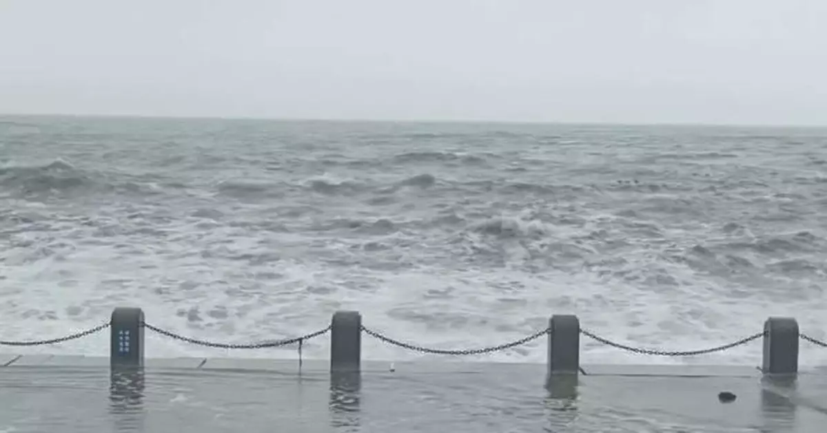 Typhoon Bavi stirs up huge waves in northeast China's Dalian