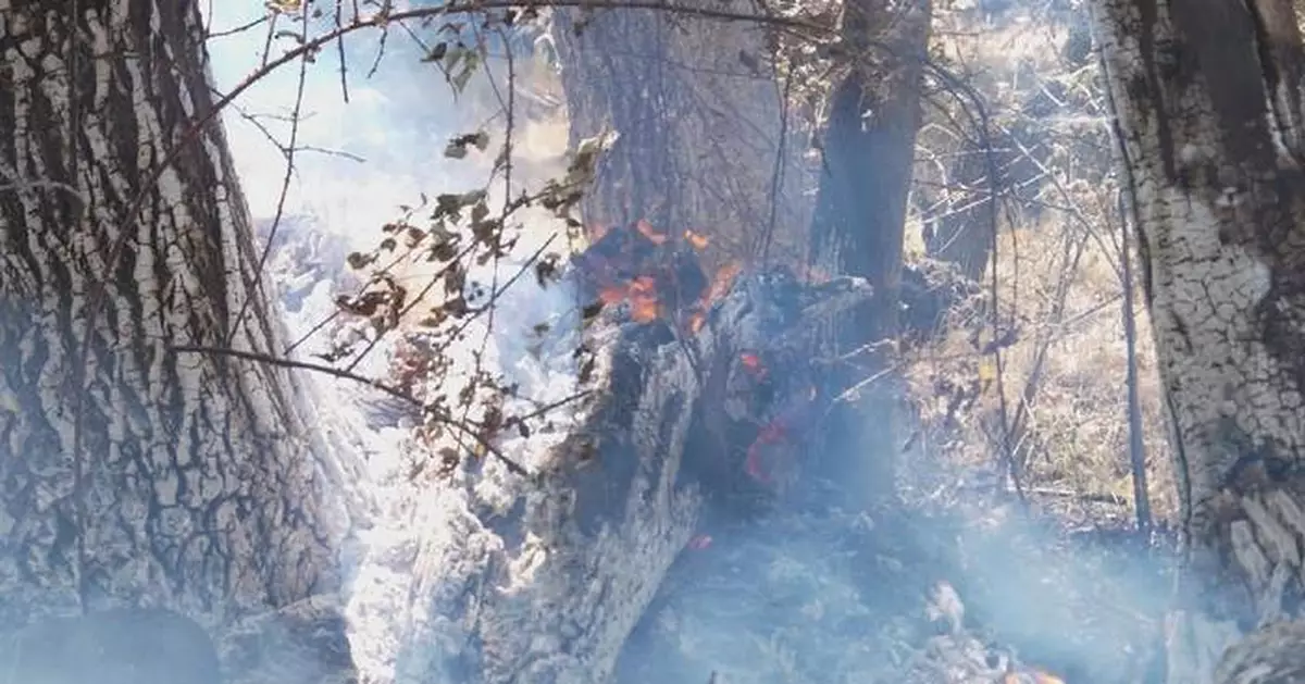 Tens of thousands evacuated as wildfires rage across Spain