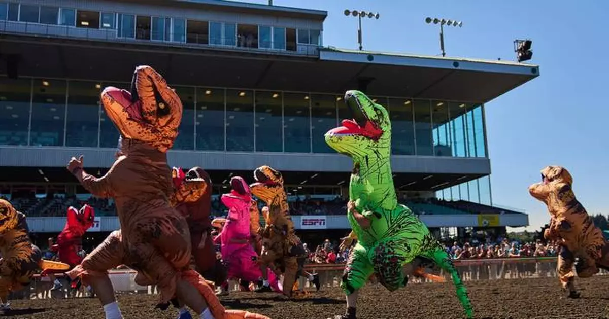Inflatable dinosaurs race at Emerald Downs, in photos