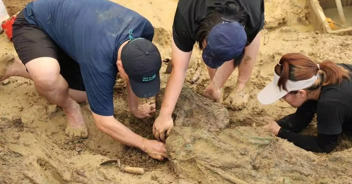 Gold rings around 2,000 years old found during dig at Thailand archaeological site