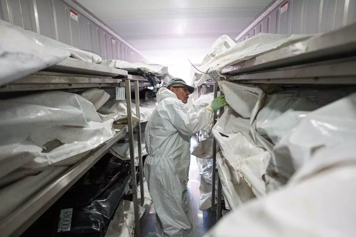 A morgue worker searches for a body of Ukrainian soldier before examination at the forensic bureau in Kyiv region, Ukraine, on Monday, June 1, 2026. (AP Photo/Evgeniy Maloletka)