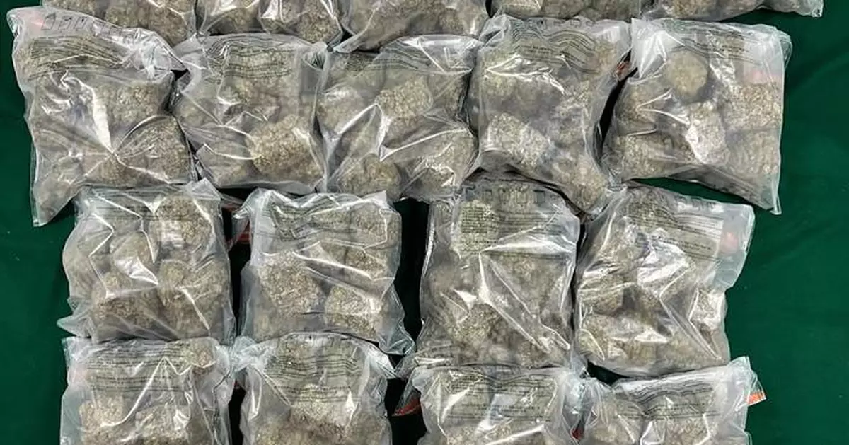 Hong Kong Customs Seizes 28.6 kg of Cannabis, Arrests Two in Major Drug Bust