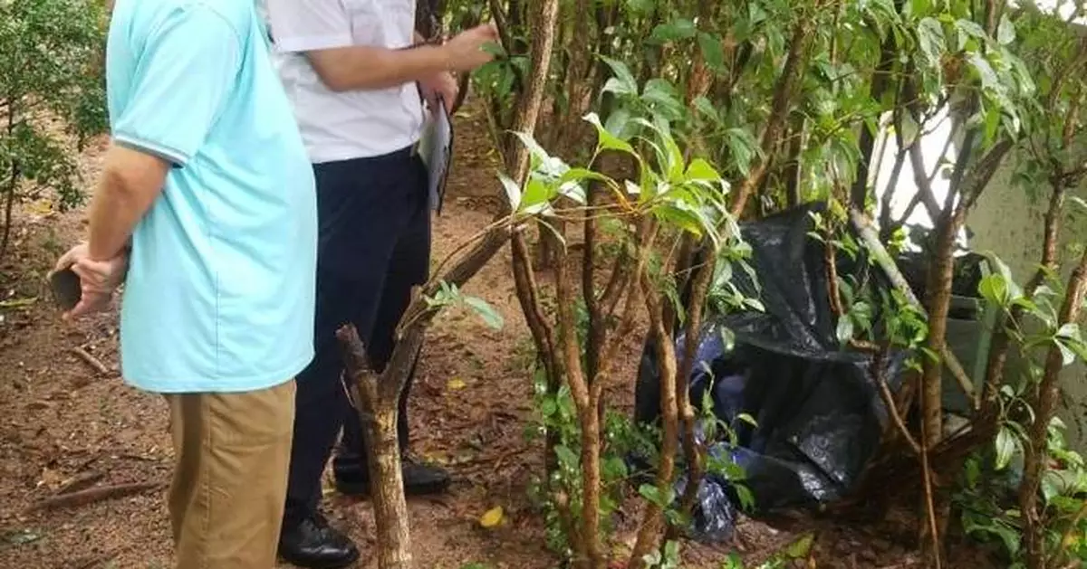 FEHD Releases July Gravidtrap and Density Indexes for Aedes Albopictus in 15 Districts.