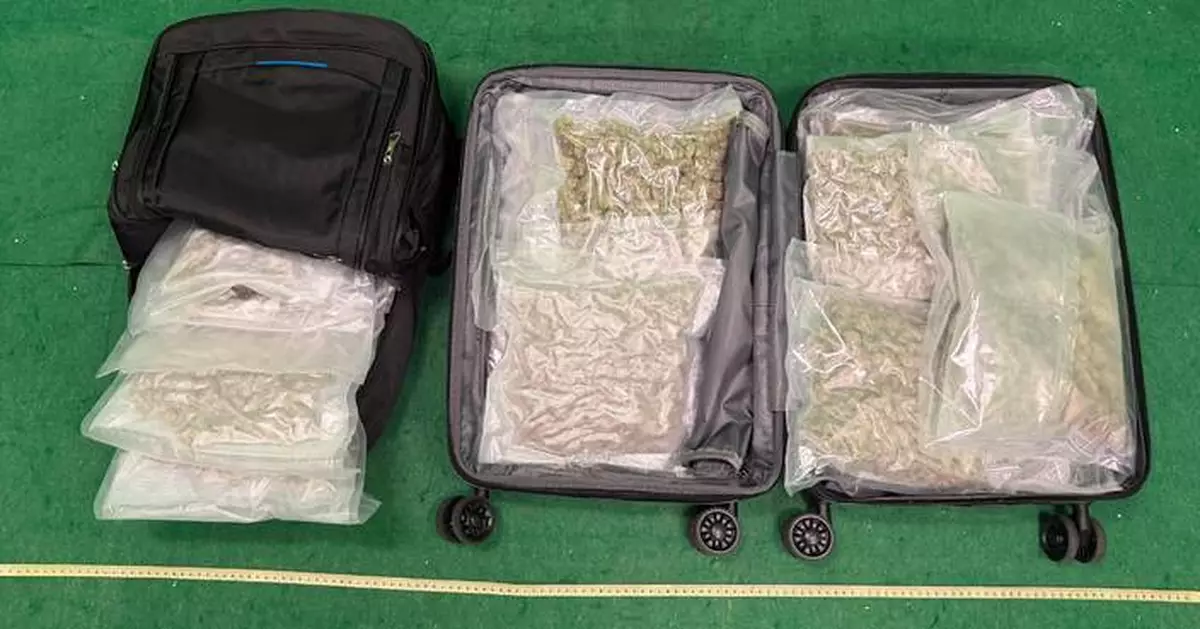 Hong Kong Customs Seizes 3.9 kg of Cannabis, Two Men Arrested at Airport