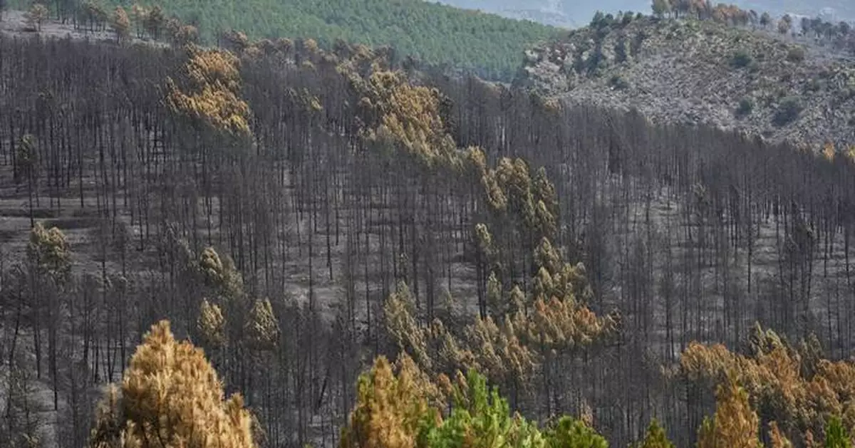 Firefighters battle one of Spain's biggest-ever wildfires during heat wave across the Mediterranean